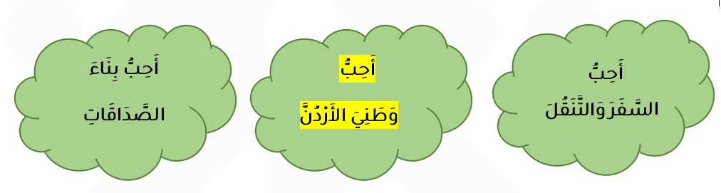 احب وطني الاردن